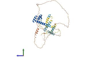 Protein Structure (PS) image for Diencephalon/mesencephalon Homeobox 1 (DMBX1) (AA 1-381) protein (His tag) (ABIN7560150)