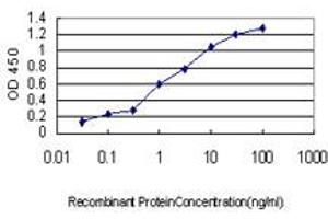 Detection limit for recombinant GST tagged HOXB1 is approximately 0. (HOXB1 Antikörper  (AA 1-74))