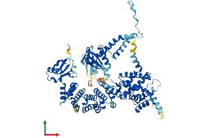 AlphaFold protein structure predicition of Human Recombinant ELMO2 Protein, UniprotID Q96JJ3