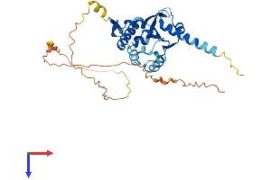 BNIP2 Protein (AA 1-326) (His tag)