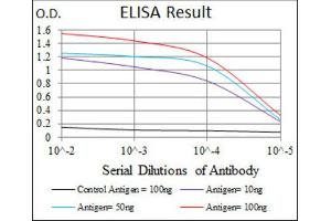 ELISA image for anti-Cyclin-Dependent Kinase 2 (CDK2) antibody (ABIN1845617) (CDK2 Antikörper)