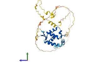 AlphaFold protein structure predicition of Human Recombinant FOXR1 Protein, UniprotID Q6PIV2
