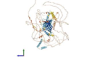 AlphaFold protein structure predicition of Mouse Recombinant Tex2 Protein, UniprotID Q6ZPJ0