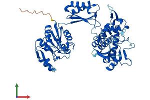 Protein Structure (PS) image for FAD Synthetase (AA 1-492) protein (His tag) (ABIN7559651)