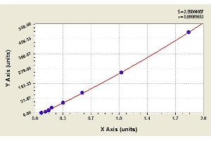 Image no. 1 for Interleukin 18 (IL18) ELISA Kit (ABIN365215)