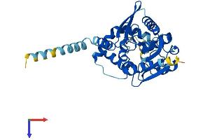 ABHD6 Protein (AA 1-337) (His tag)