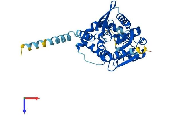 ABHD6 Protein (AA 1-337) (His tag)