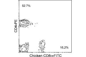 Flow Cytometry (FACS) image for anti-CD8 (CD8) antibody (FITC) (ABIN371426) (CD8 Antikörper  (FITC))