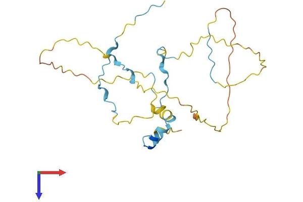 RHNO1 Protein (AA 1-235) (His tag)
