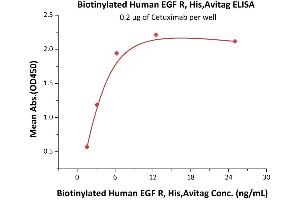 ELISA image for Epidermal Growth Factor Receptor (EGFR) (AA 25-645) (Active) protein (His tag,AVI tag,Biotin) (ABIN5674594)