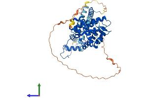 Protein Structure (PS) image for Nuclear Receptor Subfamily 1, Group H, Member 3 (NR1H3) (AA 1-445) protein (His tag) (ABIN7565264)