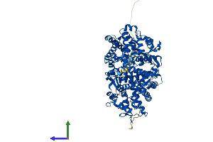 Protein Structure (PS) image for Membrane Metallo-Endopeptidase-Like 1 (MMEL1) (AA 1-765) protein (His tag) (ABIN7565116)