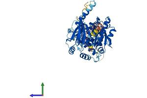 Protein Structure (PS) image for Ceramide Kinase (CERK) (AA 1-531) protein (His tag) (ABIN7559581)