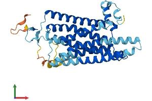 Protein Structure (PS) image for Trace Amine Associated Receptor 5 (TAAR5) (AA 1-337) protein (His tag) (ABIN7557502)