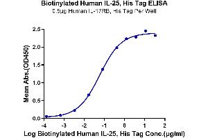 Immobilized Human IL-17RB, His Tag at 5 μg/mL (100 μL/well) on the plate. (IL-25 Protein (AA 33-177) (His-Avi Tag,Biotin))