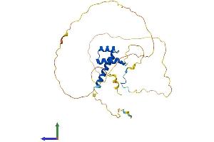 Protein Structure (PS) image for Homeobox B1 (HOXB1) (AA 1-301) protein (His tag) (ABIN7548437)