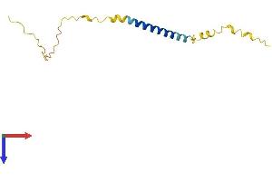 CD236/GYPC Protein (AA 1-128) (His tag)