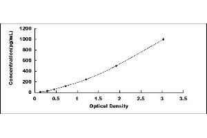 Typical standard curve (TNF alpha ELISA Kit)