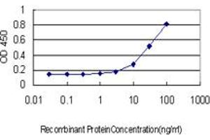Detection limit for recombinant GST tagged F11 is approximately 10ng/ml as a capture antibody. (Factor XI Antikörper  (AA 286-385))