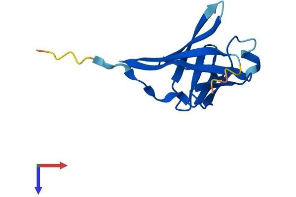 TCL1A Protein (AA 1-116) (His tag)