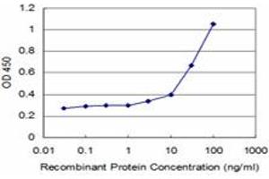Detection limit for recombinant GST tagged TGIF2 is approximately 3ng/ml as a capture antibody. (TGIF2 Antikörper  (AA 131-236))