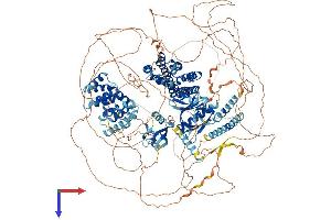ARHGEF11 Protein (AA 1-1522) (His tag)