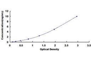 ELISA image for S100 Calcium Binding Protein A5 (S100A5) ELISA Kit (ABIN3156763) (S100A5 ELISA Kit)