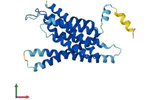 Protein Structure (PS) image for Anterior Pharynx Defective 1 Homolog B (Aph1b) (AA 1-257) protein (His tag) (ABIN7559187)