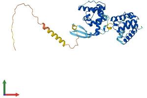 Protein Structure (PS) image for Parvin, beta (PARVB) (AA 1-365) protein (His tag) (ABIN7561455)