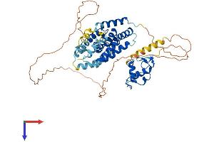 NR1H4 Protein (AA 1-486) (His tag)