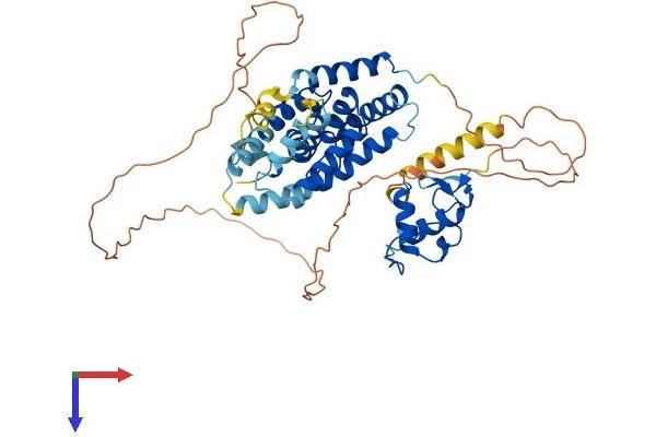 NR1H4 Protein (AA 1-486) (His tag)