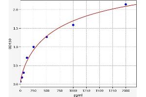Interleukin 34 (IL34) ELISA Kit