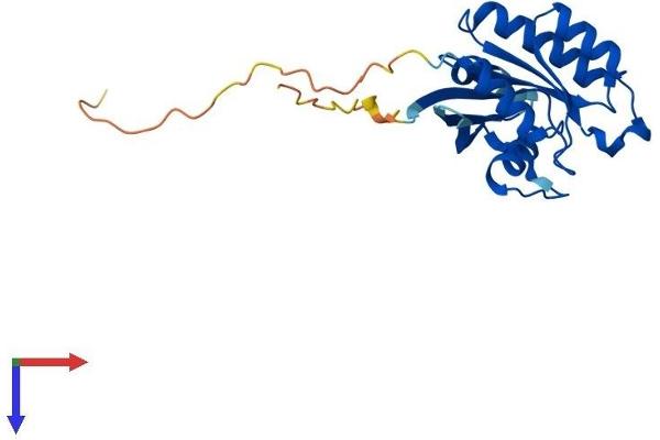 Rab5c Protein (AA 1-216) (His tag)