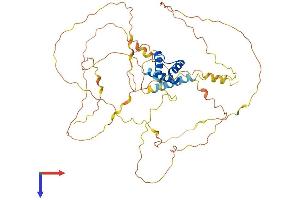 IRX3 Protein (AA 1-507) (His tag)