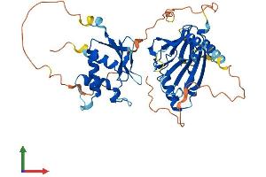 Protein Structure (PS) image for Interferon Regulatory Factor 8 (IRF8) (AA 1-426) protein (His tag) (ABIN7548646)