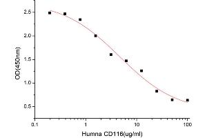 Activity Assay (AcA) image for Colony Stimulating Factor 2 Receptor, Alpha, Low-Affinity (Granulocyte-Macrophage) (CSF2RA) (AA 20-320) (Active) protein (His tag) (ABIN7607337)