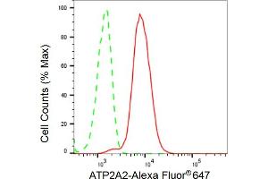 Flow cytometric analysis of ATP2A2 expression in HeLa cells using ATP2A2 antibody (ABIN7797694), 1:2,000).