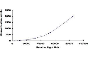 ELISA image for Chemokine (C-C Motif) Ligand 7 (CCL7) CLIA Kit (ABIN491801)