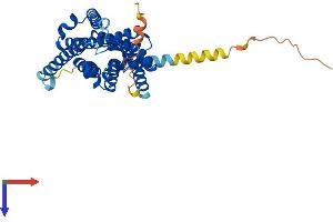 Melatonin Receptor 1A Protein (MTNR1A) (AA 1-353) (His tag)