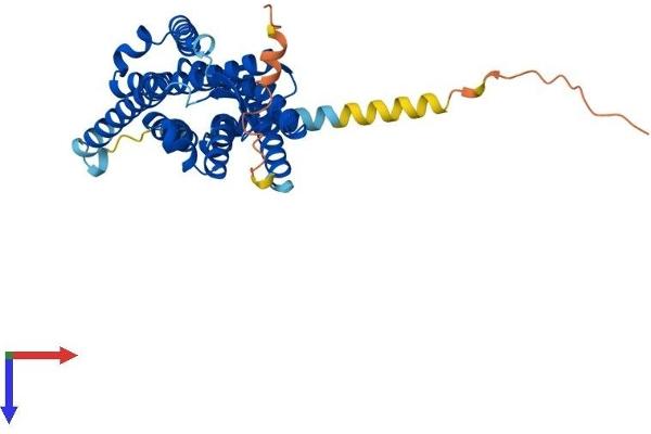 Melatonin Receptor 1A Protein (MTNR1A) (AA 1-353) (His tag)