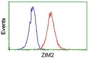 Flow Cytometry (FACS) image for anti-Zinc Finger, Imprinted 2 (ZIM2) (AA 1-150), (AA 428-527) antibody (ABIN1490589) (ZIM2 Antikörper  (AA 1-150, AA 428-527))
