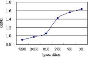 Sandwich ELISA detection sensitivity ranging from approximately 729x to 3x dilution of the CD86 293T overexpression lysate (non-denatured). (CD86 (Human) Matched Antibody Pair)