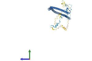 AlphaFold protein structure predicition of Human Recombinant SPATA17 Protein, UniprotID Q96L03