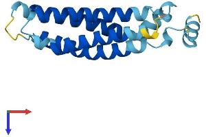 TMEM138 Protein (AA 1-162) (His tag)