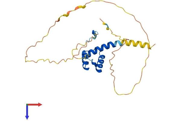HOXB6 Protein (AA 1-224) (His tag)