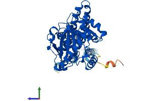 AlphaFold protein structure predicition of Mouse Recombinant Agpat4 Protein, UniprotID Q8K4X7