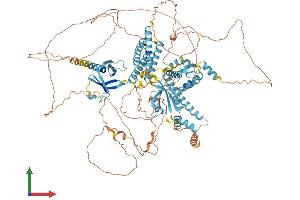 Protein Structure (PS) image for Connector Enhancer of Kinase Suppressor of Ras 2 (CNKSR2) (AA 1-1034) protein (His tag) (ABIN7553526)