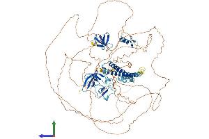 AlphaFold protein structure predicition of Mouse Recombinant Phf20 Protein, UniprotID Q8BLG0