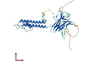 Protein Structure (PS) image for Potassium Inwardly-Rectifying Channel, Subfamily J, Member 13 (KCNJ13) (AA 1-360) protein (His tag) (ABIN7556765)