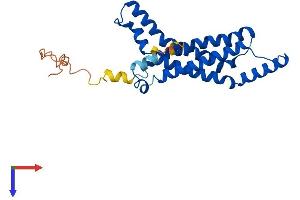 AlphaFold protein structure predicition of Human Recombinant STEAP1B Protein, UniprotID Q6NZ63